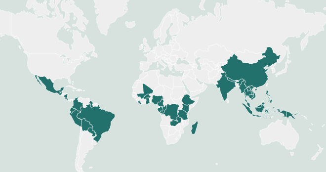 nicfi world map