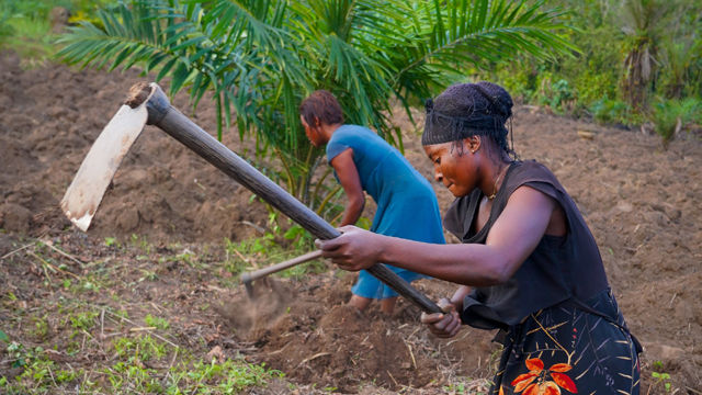 KONGO: Søstrene Grazia Lobota, 27 år (i sort) og Nachelle Pisome, 29 år (i blått) jobber som landarbeidere. De eier ikke eget land, og må jobbe for andre for å tjene til livets opphold.