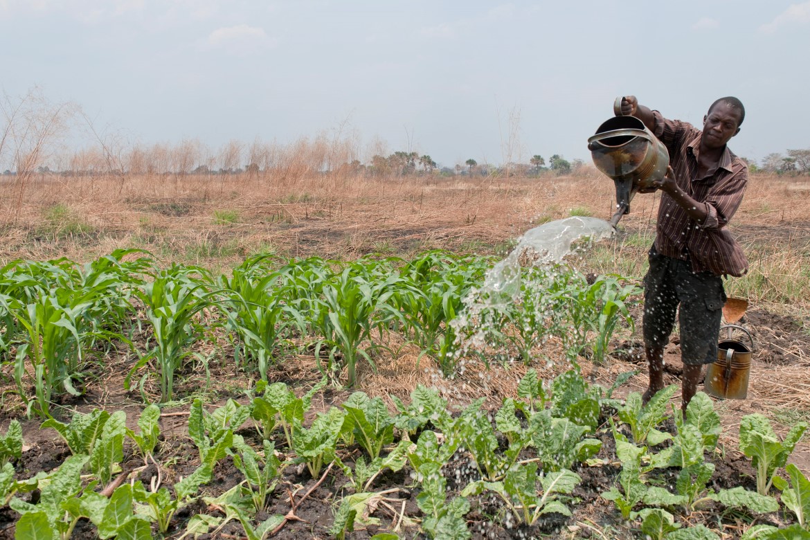 Norad hjelper bønder i Zambia med å effektivisere landbruket