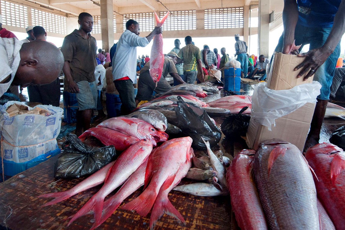 Fiskemarked i Tanzania