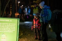 Bærekraftsmål 15 lyser opp Oslonatta under nattevandring i Oslo 2018