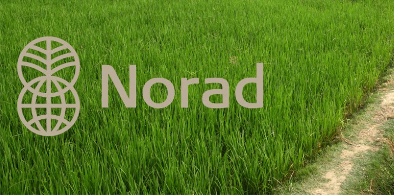 Norad logo m bakgrunn