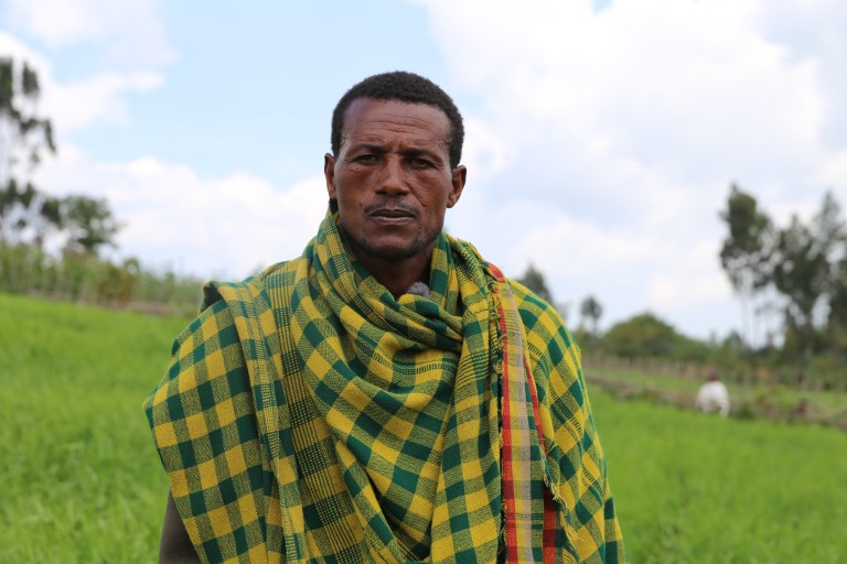 Bonde i åker. etiopia
